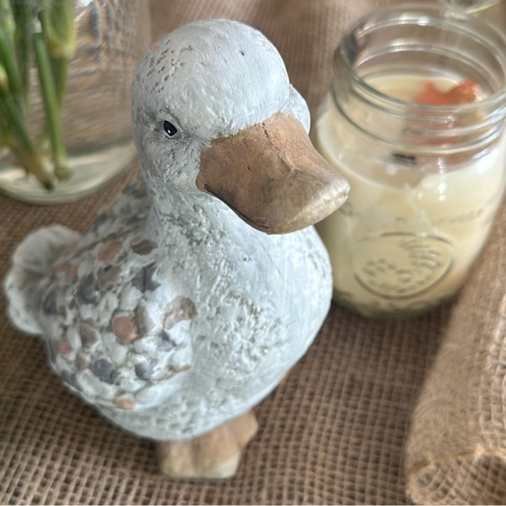 Duck